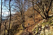 89 Bello camminare su tappeto di foglie secche
